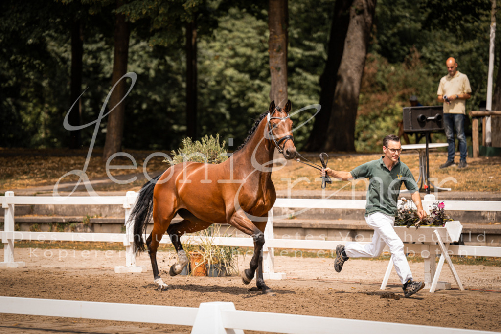 2. Fr00055 | Leoni Ertmer Photography - Realisiert mit Pictrs.com