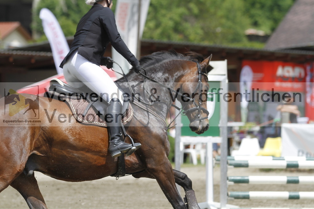 _MG_5205 | equestrian-live-com