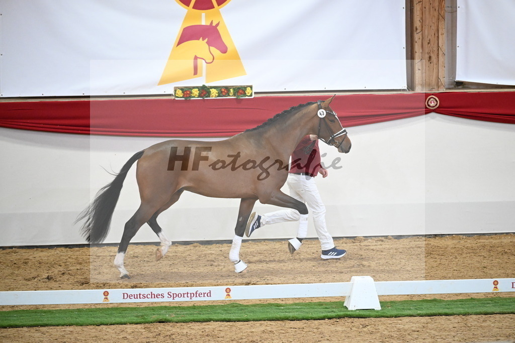 Kat.-Nr. 43 v. Benicio_Fleischmann_2250024 | hf-fotografie - Realisiert mit Pictrs.com