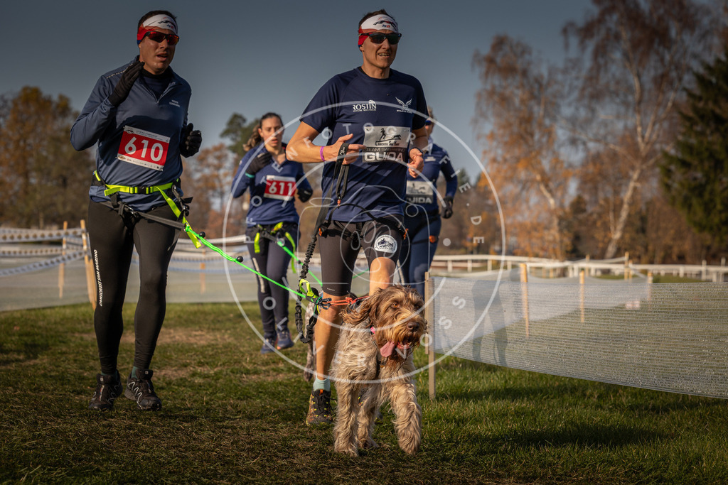 CaniXpix_0L8A0162 | Hundefotografie, Tierfotograf, Pfotenfotografie, Fotoshooting Hund, Hunde Portrait, Hundesport, Hundeportraits, Heideshooting, Hunde, Sportfotograf, Hundefotograf, Turnierhundsport, THS,  - Realisiert mit Pictrs.com