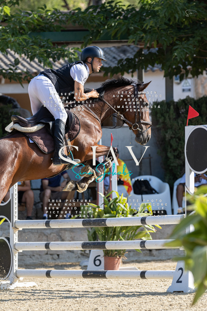 IMG_4741 | s-jay-photography - Realisiert mit Pictrs.com