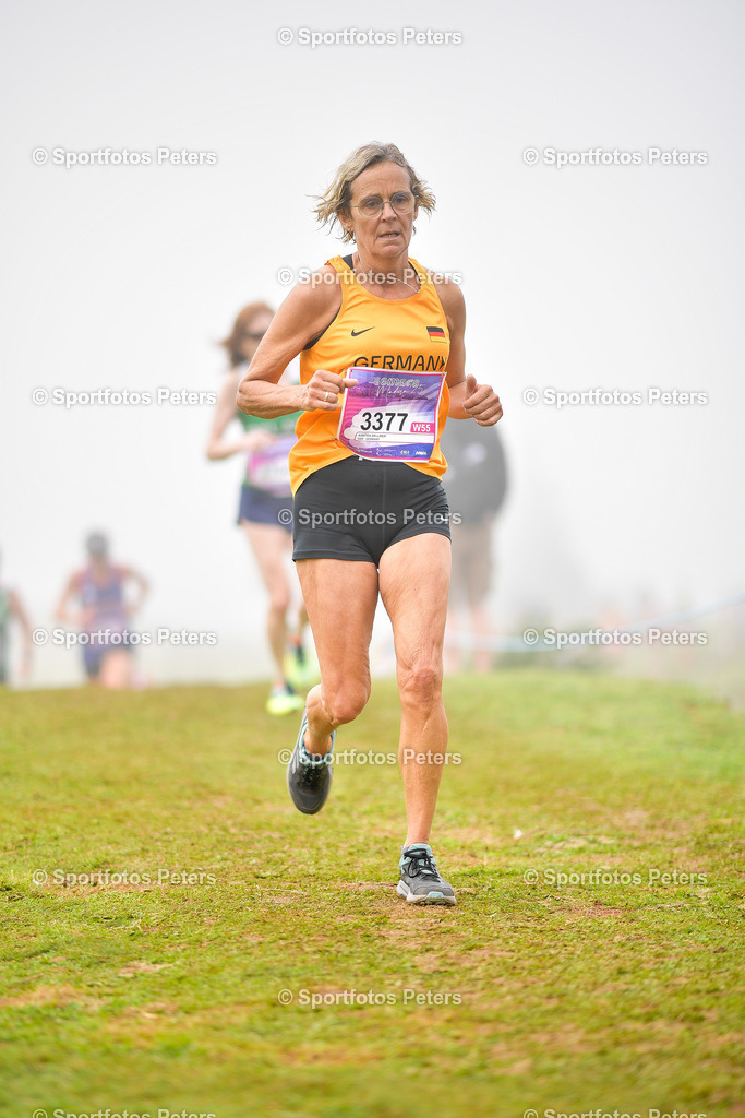 EMACS 2025 - Day 4_202 | European Masters Athletics Championships am 12.10.2025 auf Madeira (Portugal)Foto: Kai Peters - Realisiert mit Pictrs.com