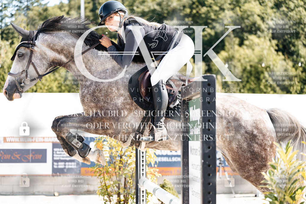 CK908552 | Turnierfotografie Pferdefotografie Trier Rheinland-Pfalz Pferdesport Reitsport Tierfotografie Sportfotografie Pferdevideo Pferdevideografie Equestrianvideography equestrianphotography  - Realisiert mit Pictrs.com