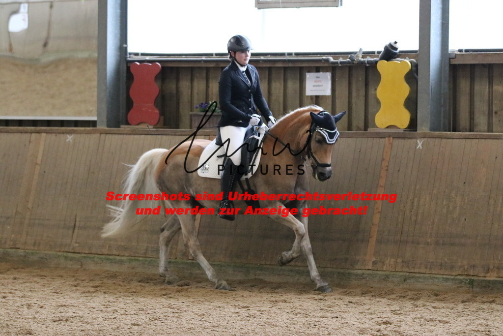 IMG_6865 | lmwpictures - Realisiert mit Pictrs.com