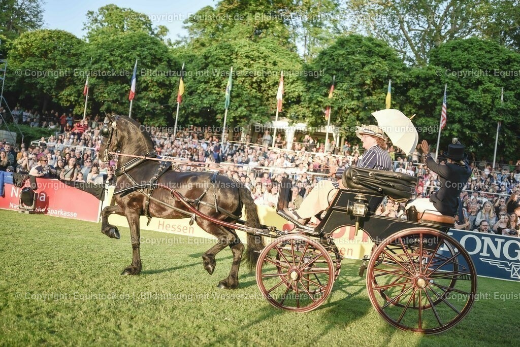 20230526_Pferdenacht_0097 | equistock