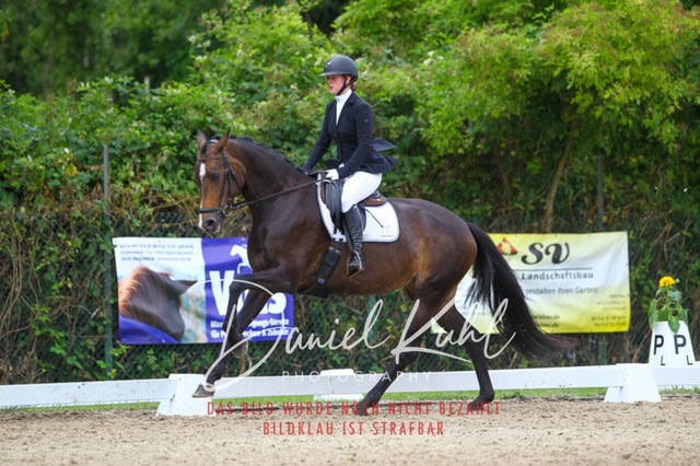 DKP40471 | Turniersportfotografie; Pferdefotografie; Dressurfotografie