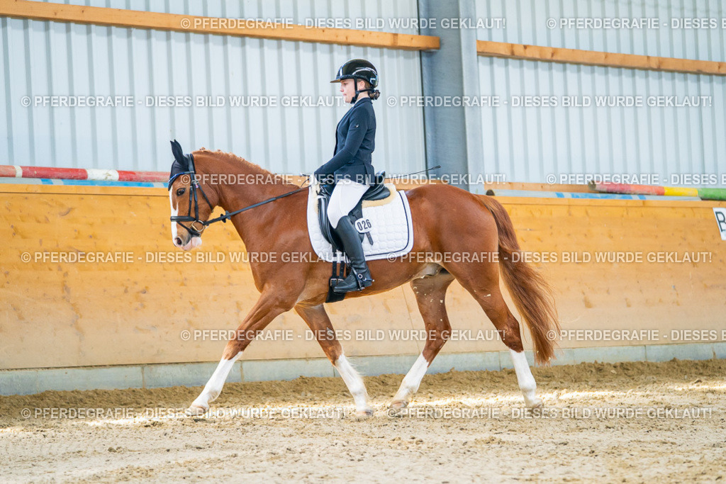 DSC06845 | Pferdegrafie