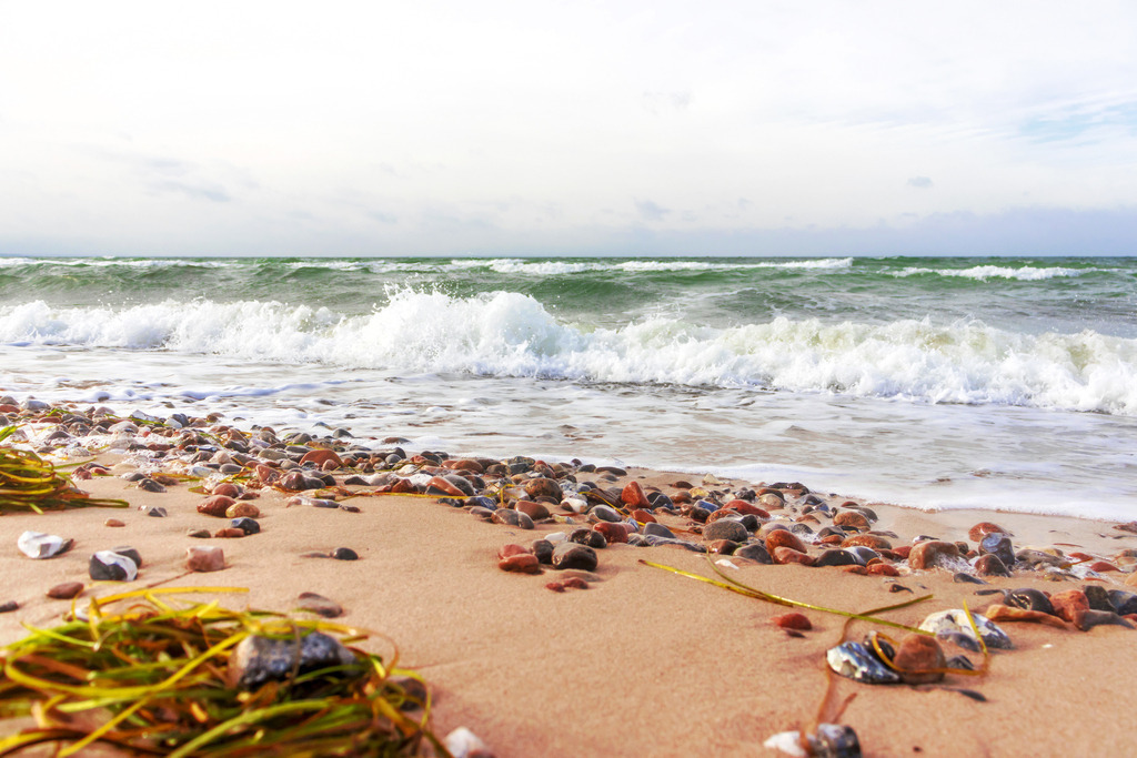 Wandbild: Wellen und Küstenzauber auf Fehmarn | Die natürliche Schönheit der Ostseeküste eingefangen in einem faszinierenden Moment: Sanfte Wellen treffen auf den Flügger Strand auf Fehmarn, während die Steine und das angespülte Seetang im Vordergrund für einen authentischen maritimen Flair sorgen. Die dynamische Bewegung des Wassers und die weite Küstenlandschaft bringen eine erfrischende und beruhigende Atmosphäre in Ihr Zuhause – ideal für alle, die sich täglich eine Prise Meer und Natur gönnen möchten. - Realisiert mit Pictrs.com