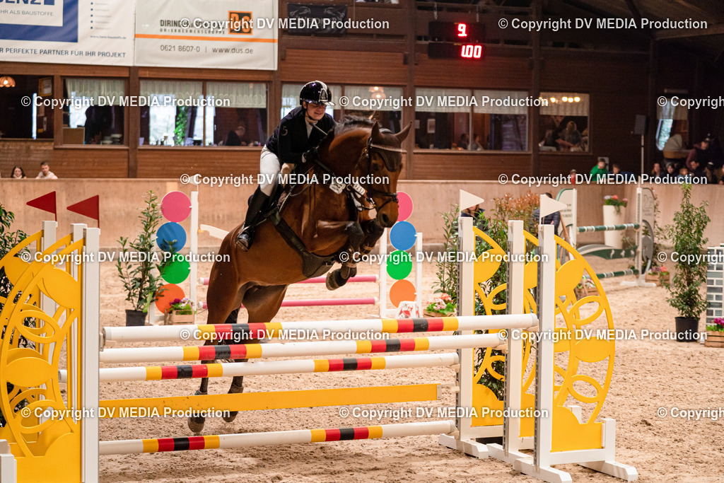 Springen Tag 2-613 | dv-media-shop - Realisiert mit Pictrs.com