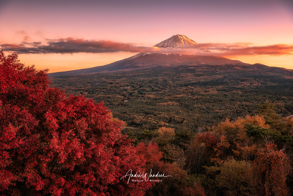 Abendstimmung am Mount Fuji | Andre Wandrei - Nature Artworx - Realisiert mit Pictrs.com