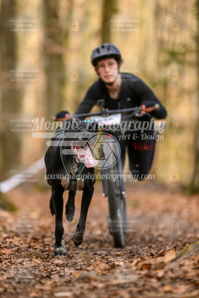 MompixPhotography_Habay2025_SA_SCO-37 | PayLife
