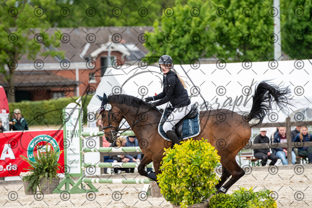 KPT_0274 | andre_photographic