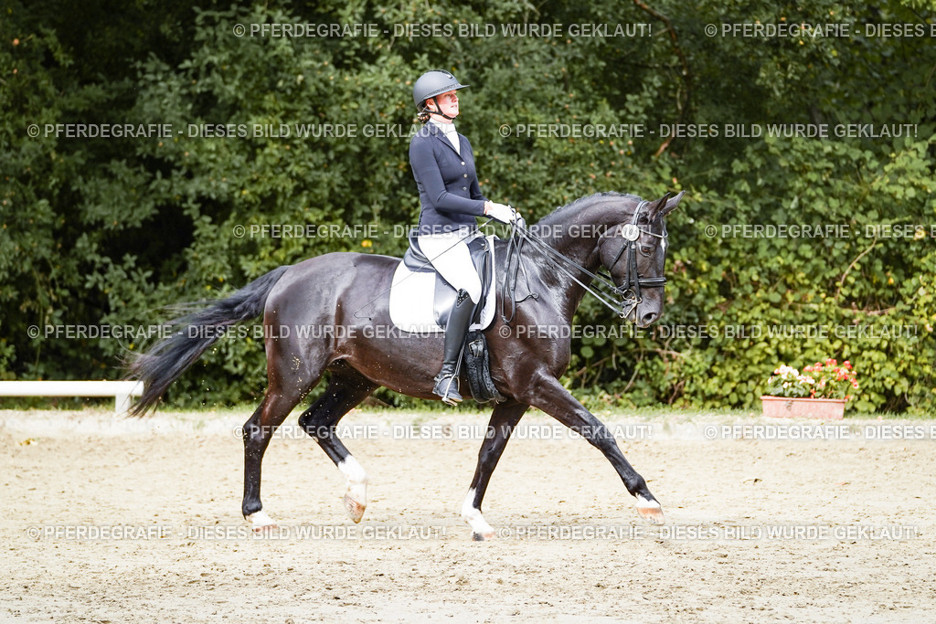 DSC05330 | Pferdegrafie