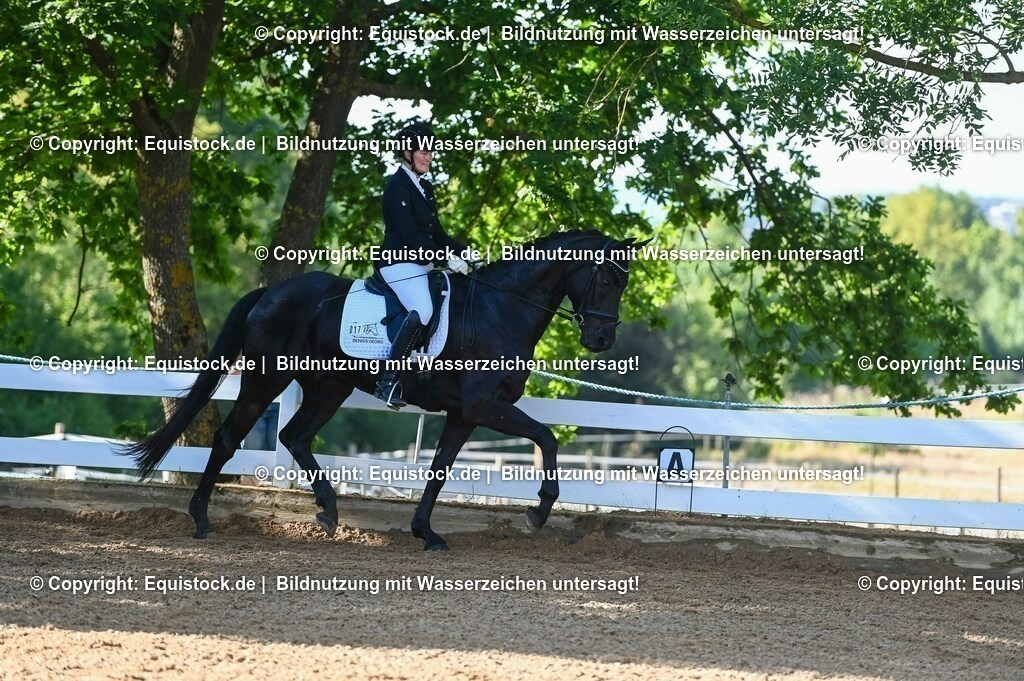 20230715_06_Dressurpferdeprfg. Kl.A_0002 | equistock