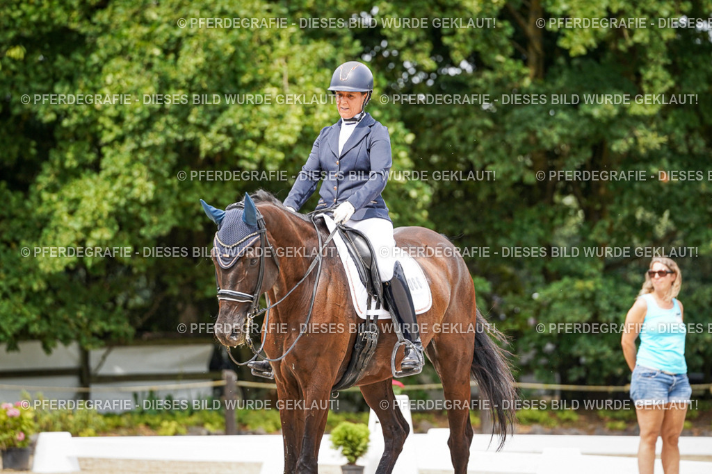 DSC05502 | Pferdegrafie