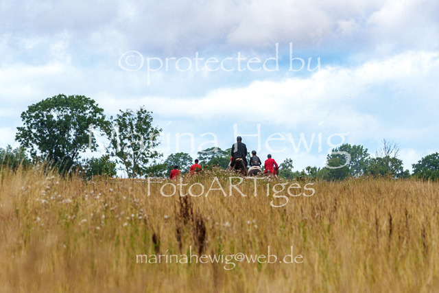 Jagd Knoop 26_MarinaHewigMCH02261 | Fotografie, FotoArt, PferdesportArt, Pferdesportfotografie, Landschaftsfotografie, Reisefotografie, Reise, Pferde - Realisiert mit Pictrs.com