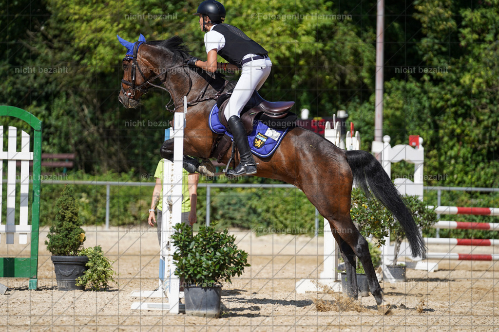20240824-FAH08390 | Thierhaupten 2024, Bayerisches Landesponyturnier, Turnierbilder, Ponybilder, Turnierfotografen Bayern, Fotoagentur Herrmann
