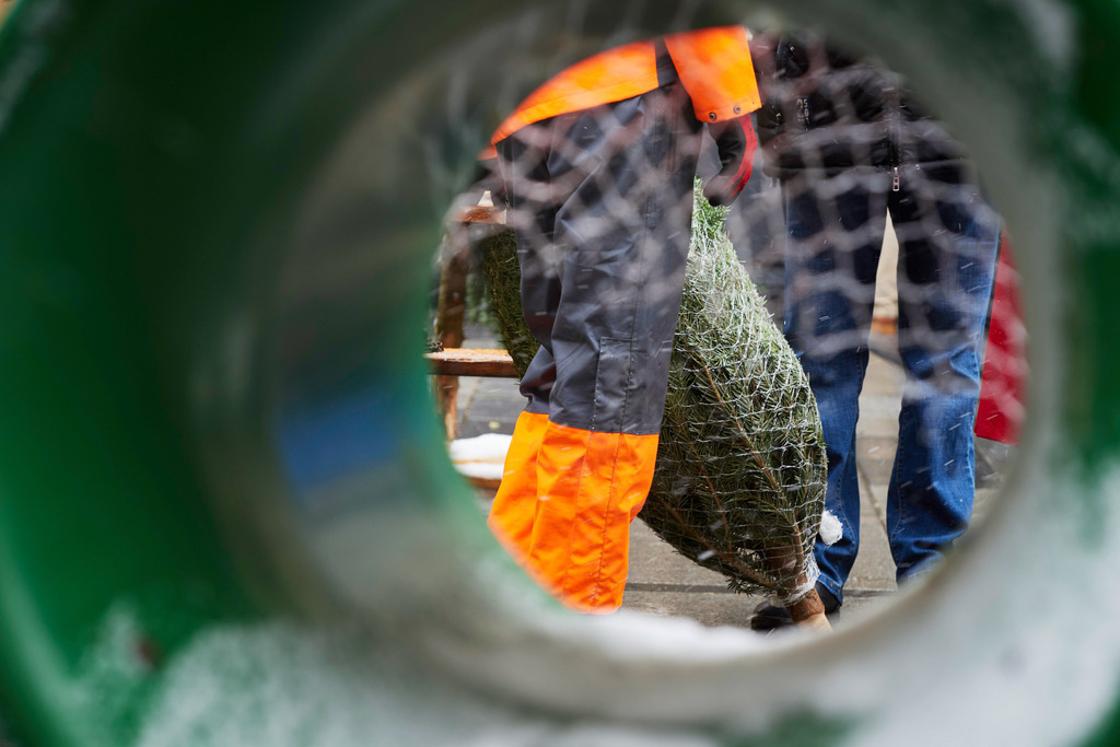 Christbaumverkauf am Graben | Wien, Austria - December 15, 2018: Christbaumverkauf am Graben. - Realisiert mit Pictrs.com