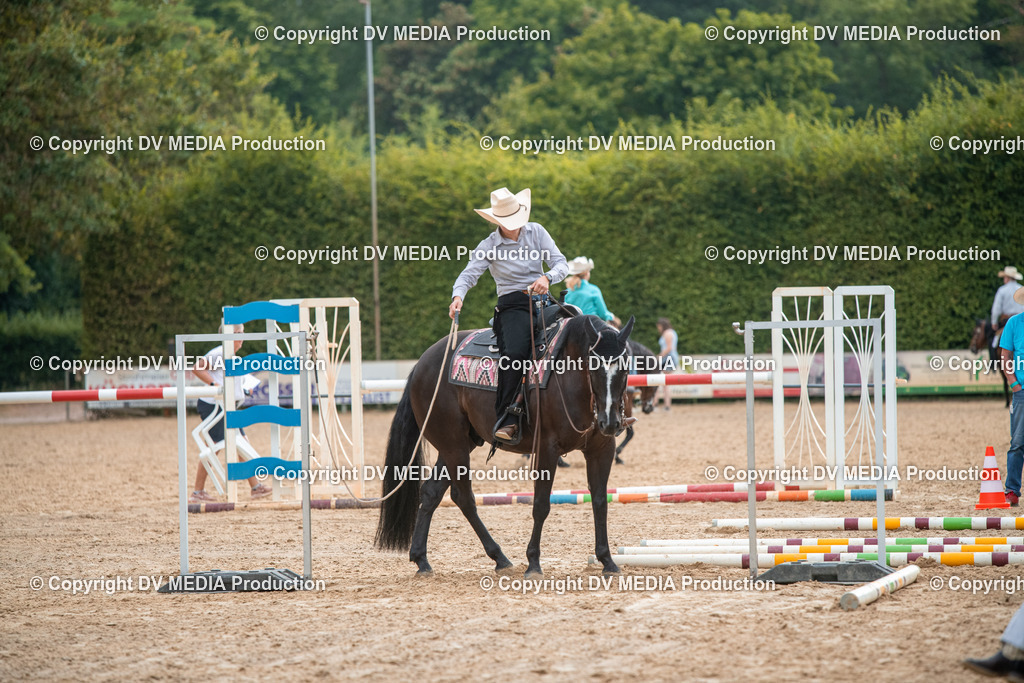 ZS2_7395 | dv-media-shop - Realisiert mit Pictrs.com