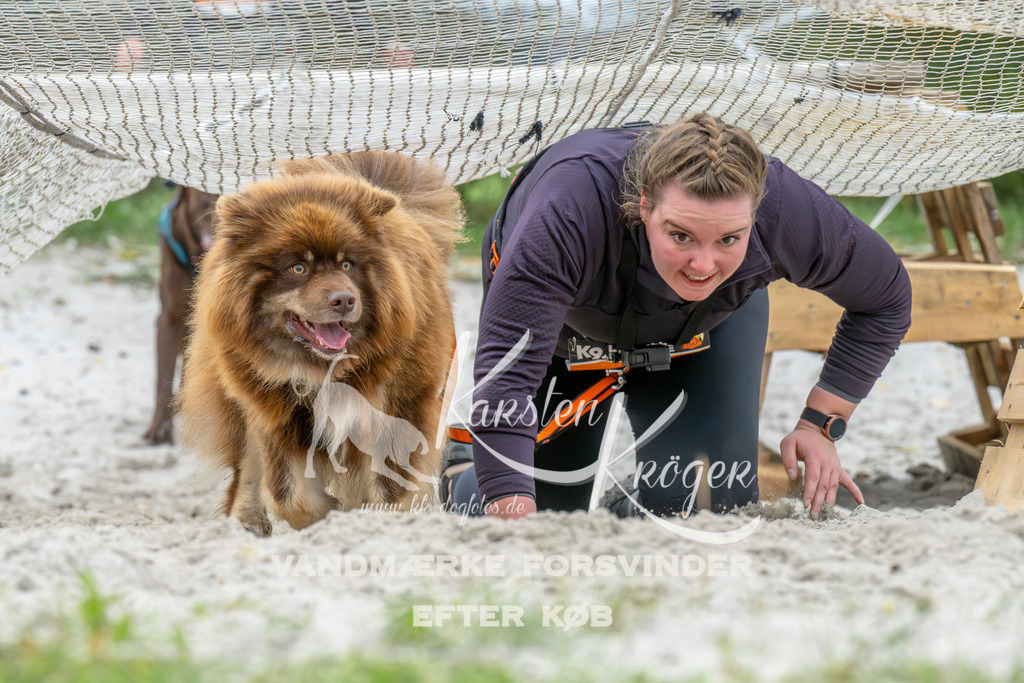 1033_ZZ94250 | kk-dogfotos