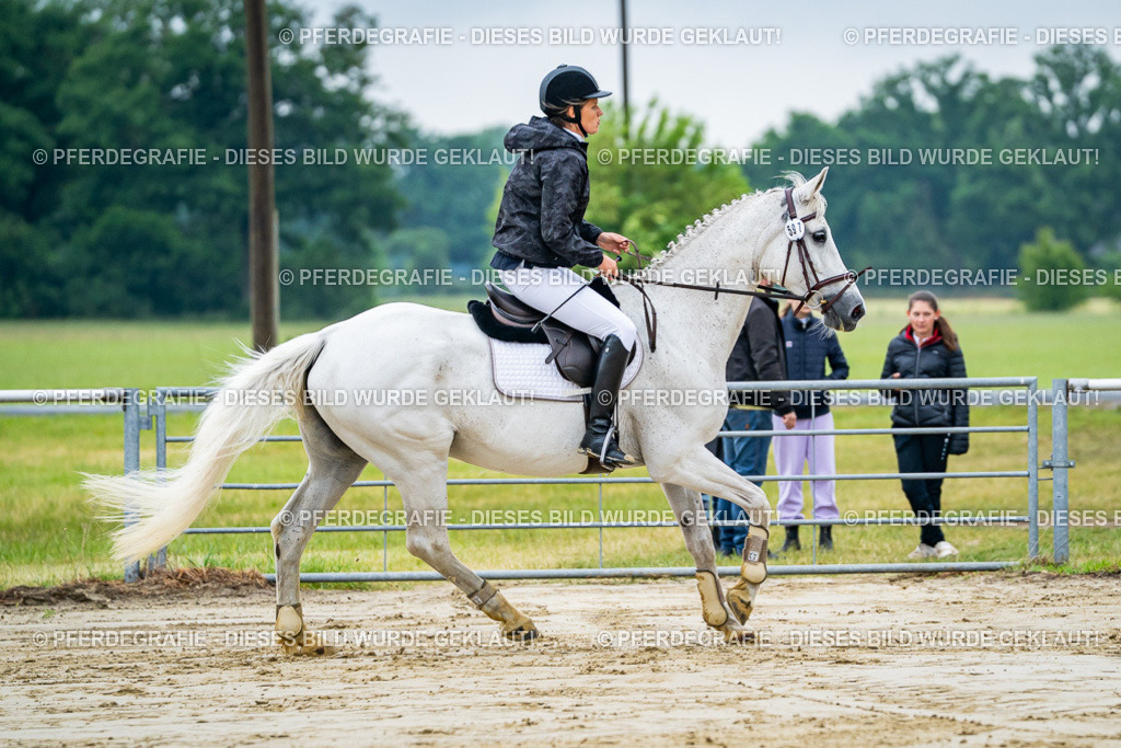 DSC02376 | Pferdegrafie