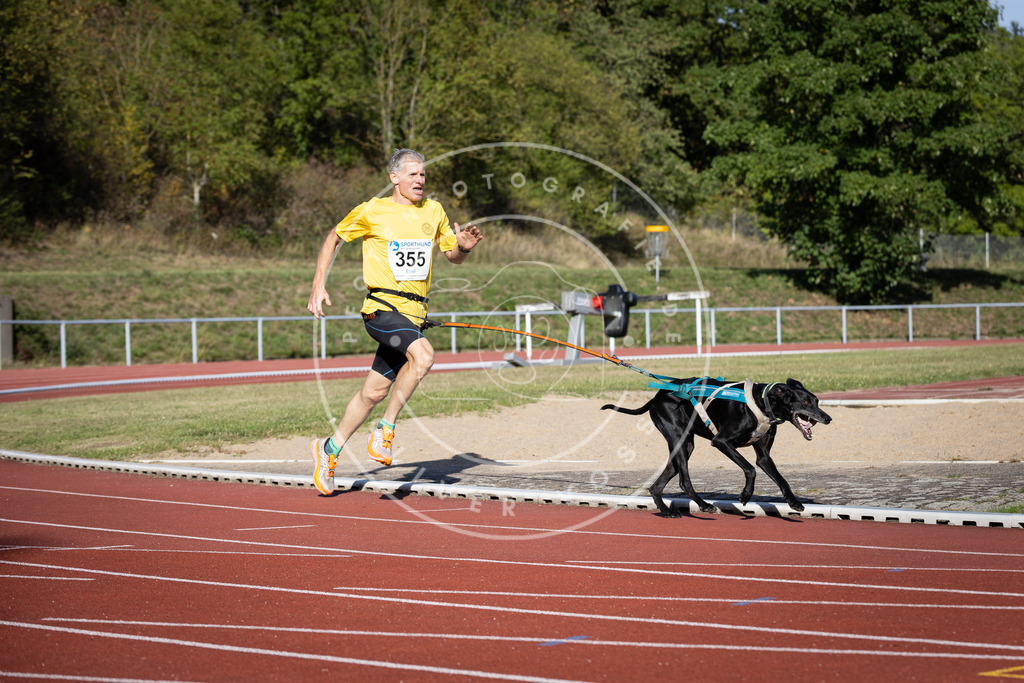 Pfotenfotografie_DV3A9914 | Hundefotografie, Tierfotograf, Pfotenfotografie, Fotoshooting Hund, Hunde Portrait, Hundesport, Hundeportraits, Heideshooting, Hunde, Sportfotograf, Hundefotograf, Turnierhundsport, THS,  - Realisiert mit Pictrs.com