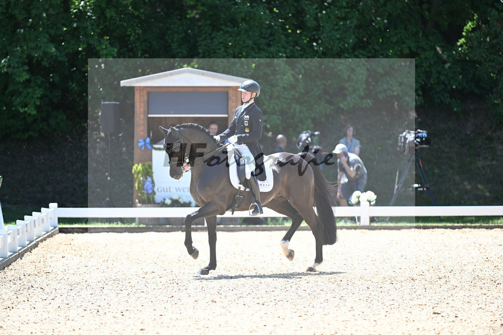 Netz_DSP Dieudonne_11254925 | hf-fotografie - Realisiert mit Pictrs.com