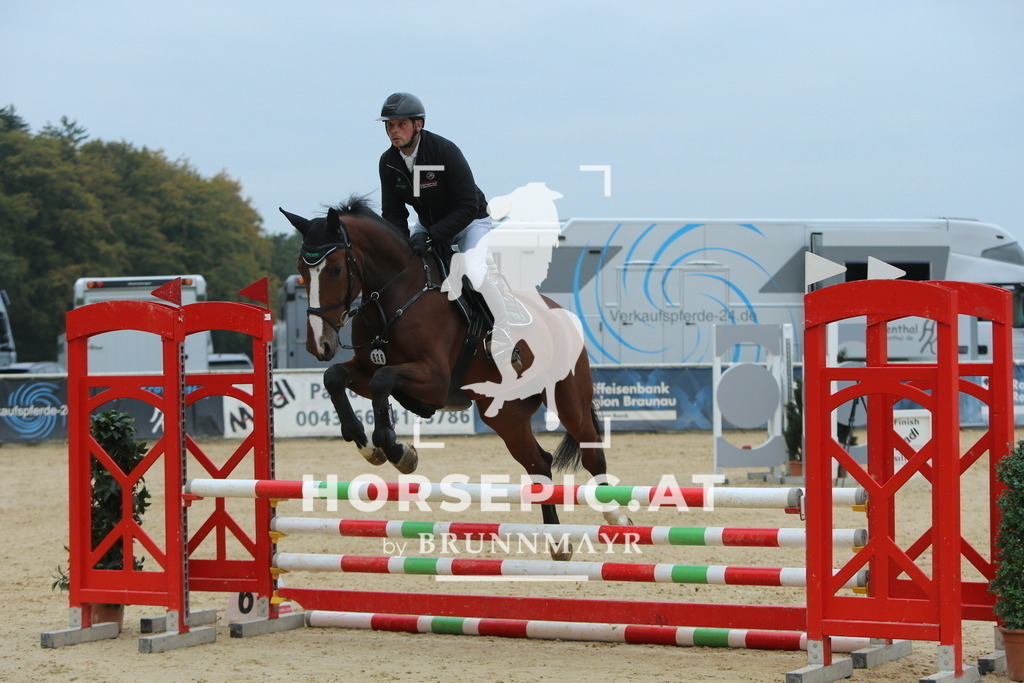 DL2Q4100 | Willkommen bei Brunnmayr - Design & Fotografie – Ihrem Spezialisten für Reitturniere und Pferdeveranstaltungen in Oberösterreich, Salzburg und Bayern! Seit über 17 Jahren sind wir leidenschaftlich dabei.