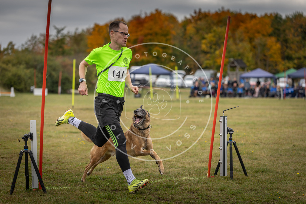 Pfotenfotografie_DV3A8137 | Hundefotografie, Tierfotograf, Pfotenfotografie, Fotoshooting Hund, Hunde Portrait, Hundesport, Hundeportraits, Heideshooting, Hunde, Sportfotograf, Hundefotograf, Turnierhundsport, THS,  - Realisiert mit Pictrs.com