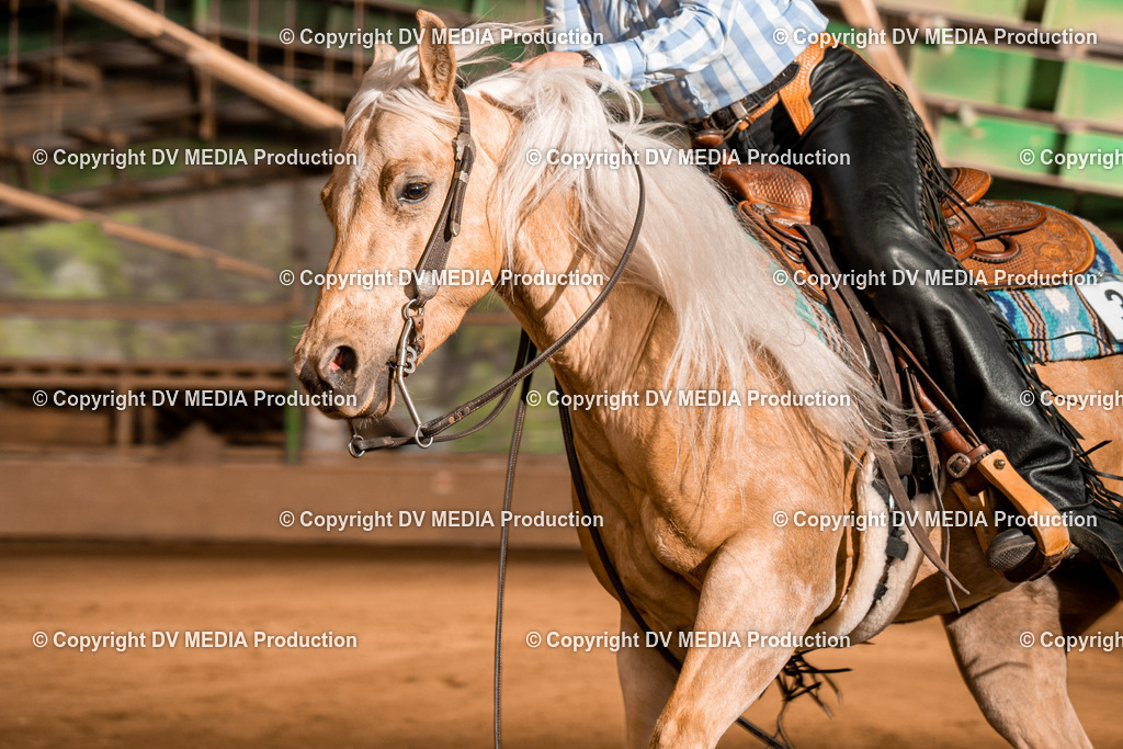 BA301262 | dv-media-shop - Realisiert mit Pictrs.com