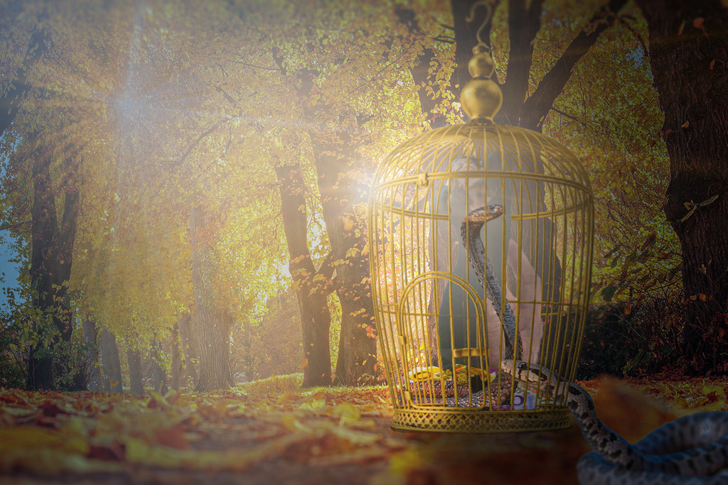 Ausbruch | Was gibt es Schöneres, als auf dem Land aufzuwachsen. Inmitten der Natur, ohne Hektik und Lärm. Sonja gehört zu den Glücklichen, die das erleben dürfen. Behütet und umsorgt genießt sie das Le-ben im Grünen. Je älter sie wird, umso mehr sehnt sie sich jedoch nach etwas Anderem. Einem Ort, an dem nicht Jeder jeden kennt und alles vom anderen weiß. Einem Ort, an dem was los ist, mehr als einmal jährlich die Turnerunterhaltung oder das Konzert des örtlichen Musikvereins. Ausbre-chen aus dieser langweiligen, träge dahinfließenden Ruhe und Einöde. Hier fühlt sie sich wie in ei-nem goldenen Käfig gefangen. - Realisiert mit Pictrs.com