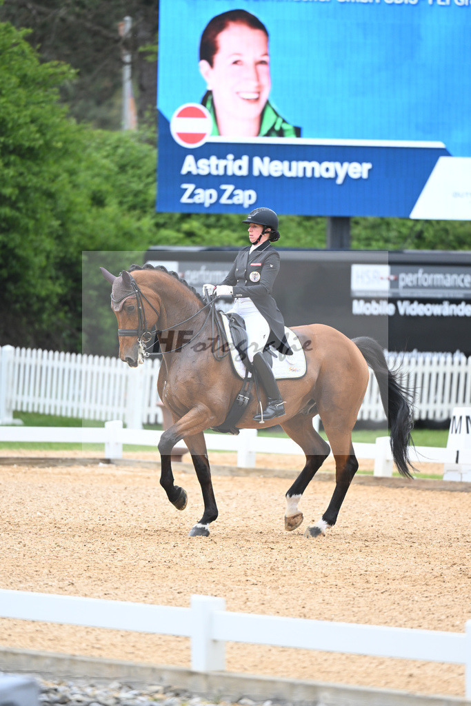 Neumayer_Zap Zap_11232662 | hf-fotografie - Realisiert mit Pictrs.com