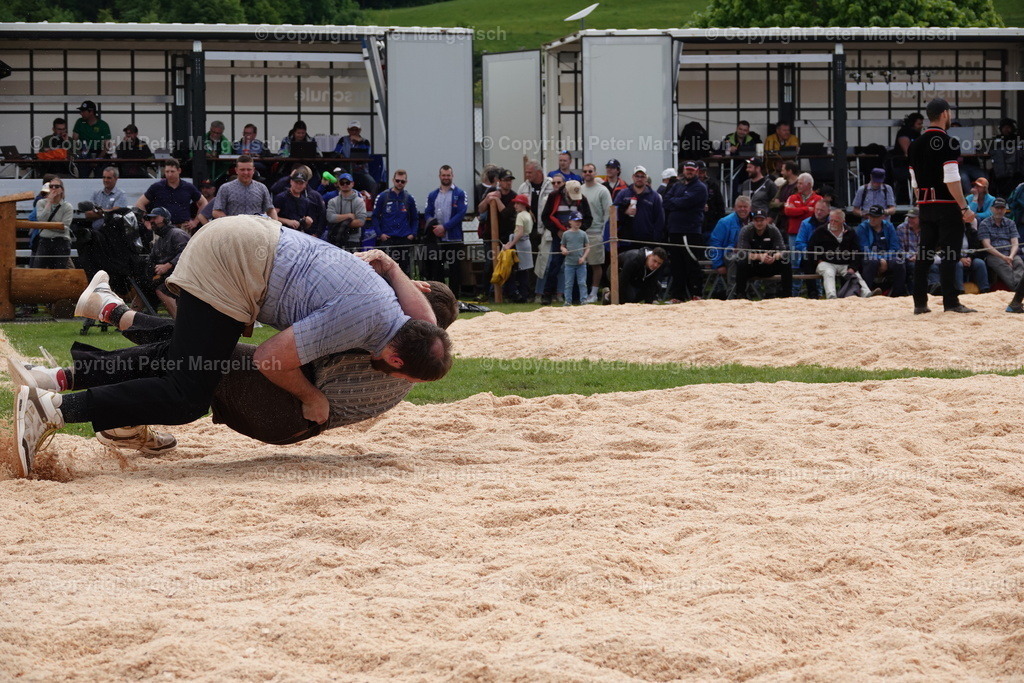 DSC00709 | Schwingen - Realisiert mit Pictrs.com