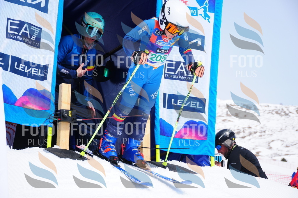 DSC_1842 | holidayphoto