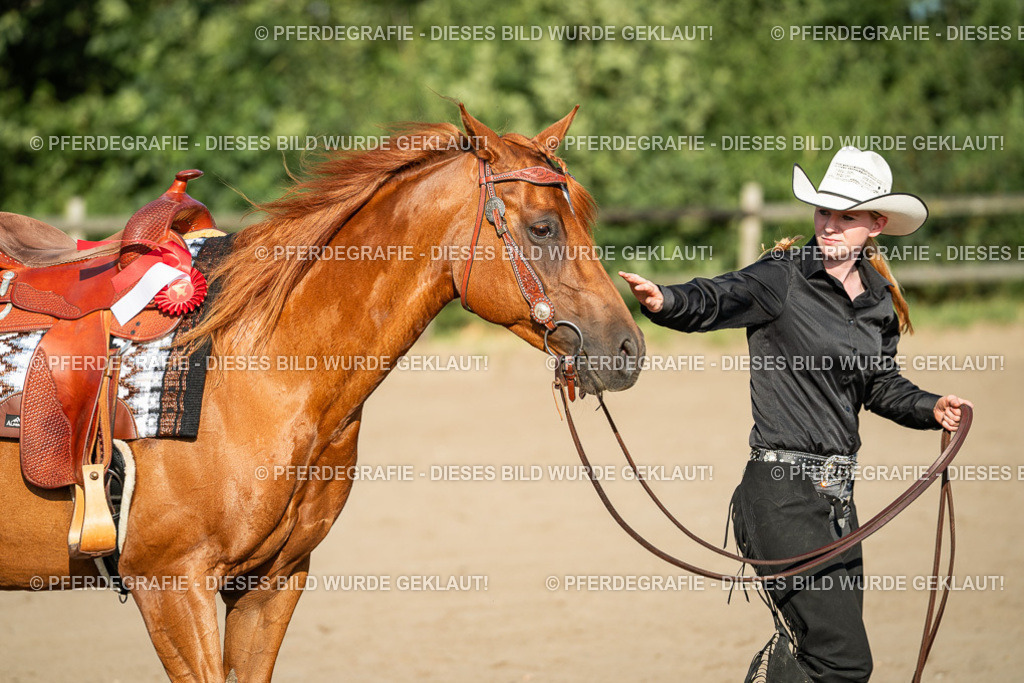 DSC05632 | Pferdegrafie