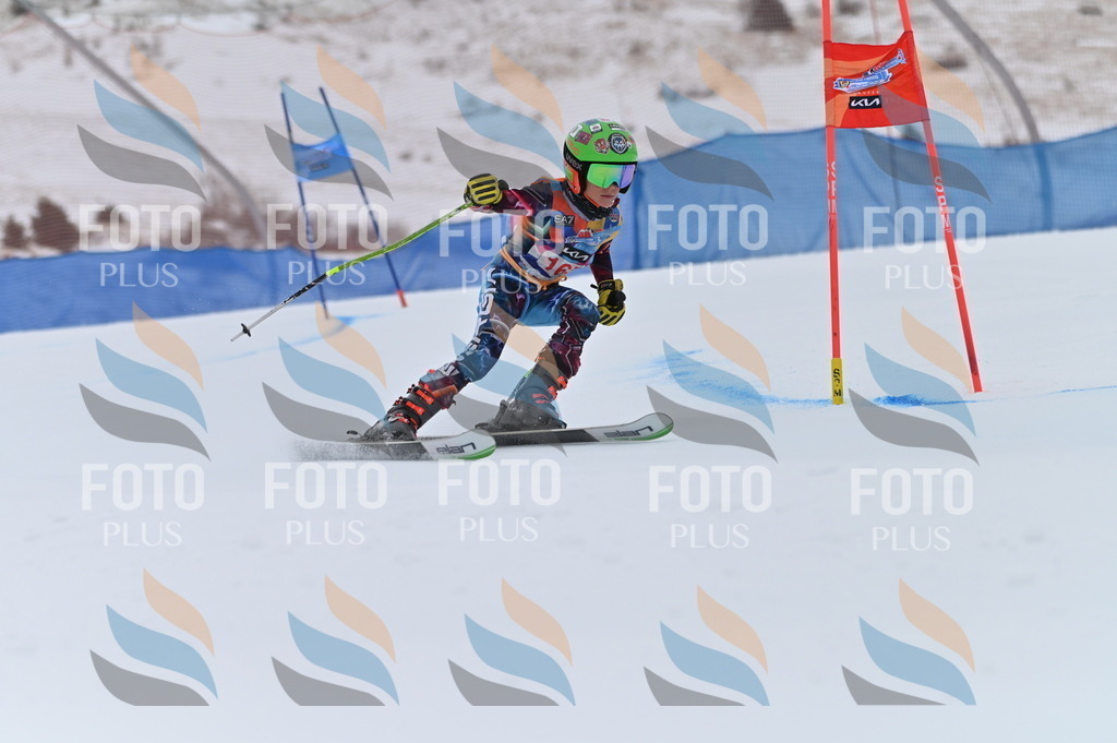 BGV_0343 | holidayphoto