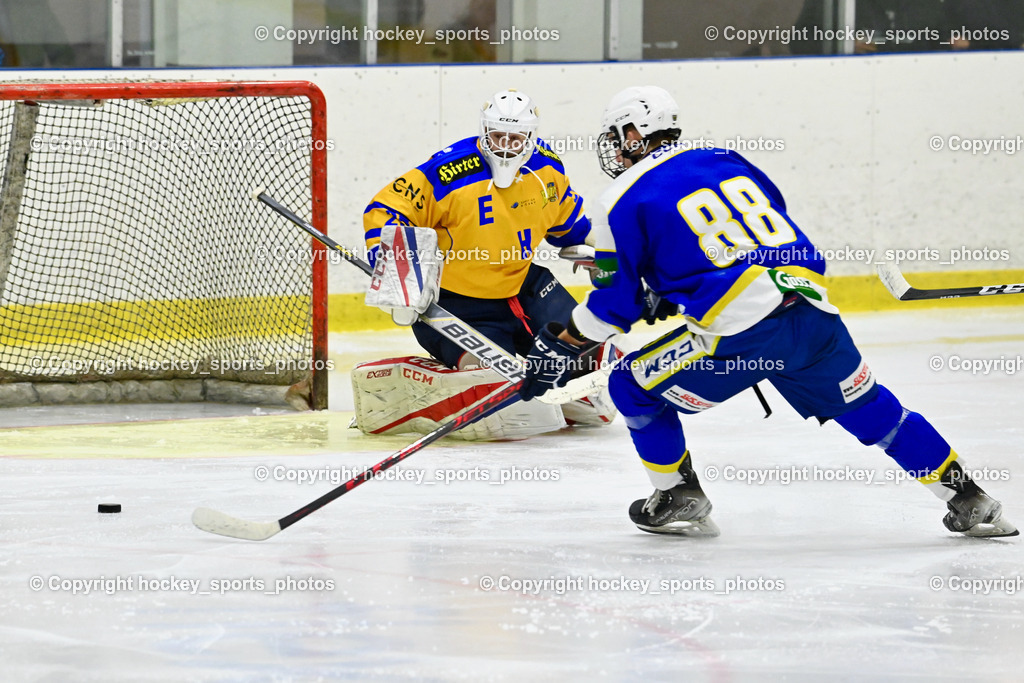 EHC Althofen vs. UECR Huben 14.1.2023 | #25 Selinger Sebastian, #88 Schwarzer David