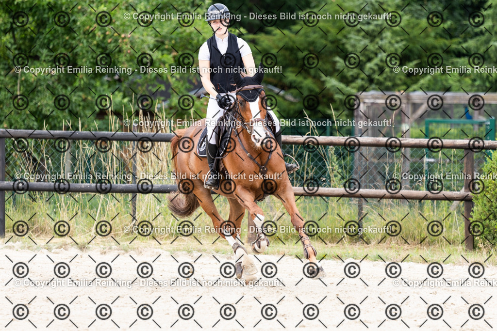 CL5A8375 | Emilia Reinking Fotografie - Realisiert mit Pictrs.com