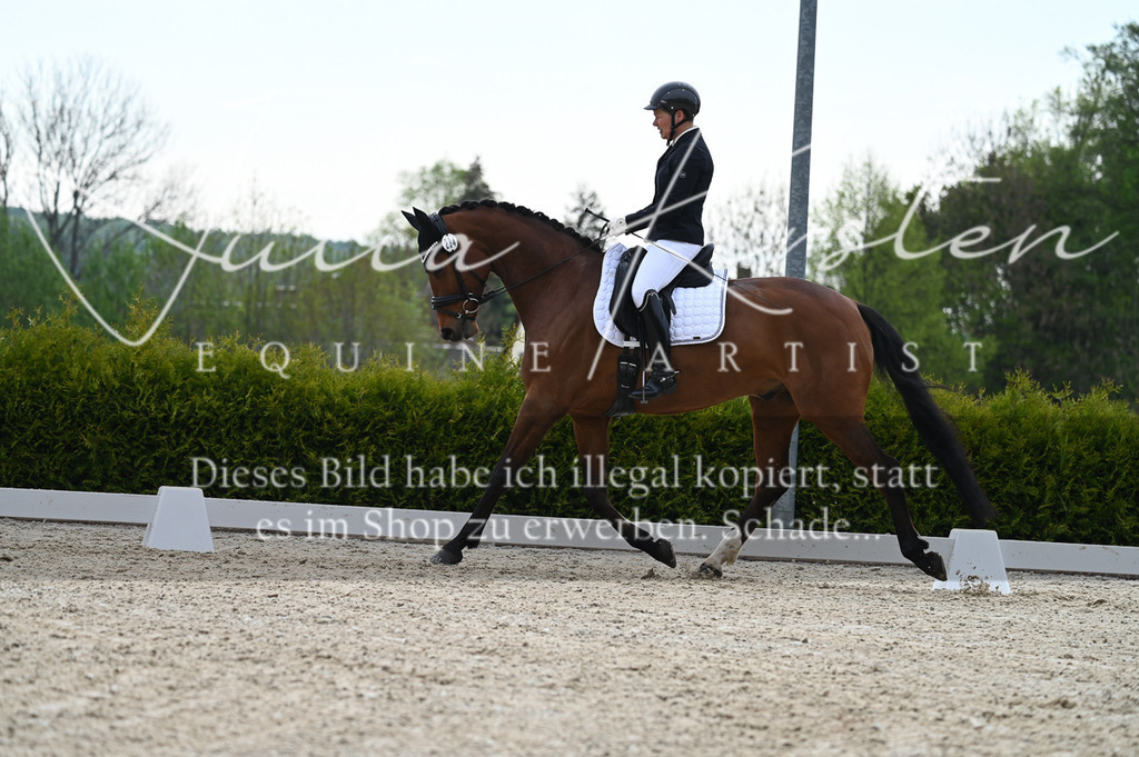 20230512_JK-Röhrsdorf-02-261 | Pferde- und Turnierfotografie in Westsachsen. Pferdeportraits, Auftragszeichnungen und intuitive Kunst.