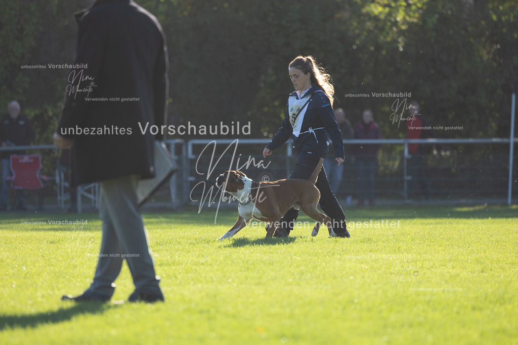 _16A4870 | Einzigartige Fotos von Hunden & Menschen –Actionfotos, Portraits, Vereinsaufnahmen & Paarshootings – authentisch, lebendig & mit Herz.