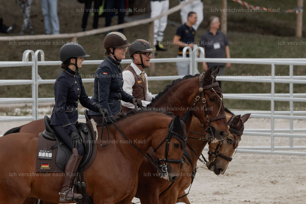 WE__Stoib_Rinder_PI2025_3043 | Pferd International München 2025