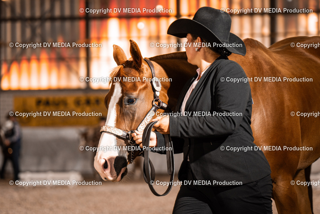 ZH200025 | dv-media-shop - Realisiert mit Pictrs.com