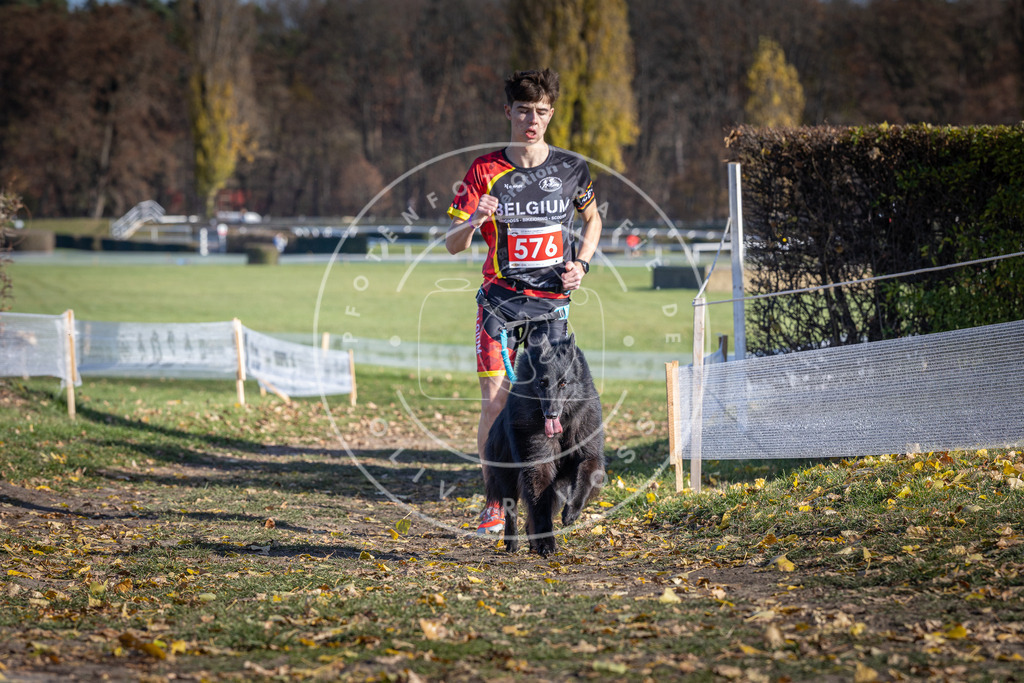 CaniXpix_DV3A8961 | Hundefotografie, Tierfotograf, Pfotenfotografie, Fotoshooting Hund, Hunde Portrait, Hundesport, Hundeportraits, Heideshooting, Hunde, Sportfotograf, Hundefotograf, Turnierhundsport, THS,  - Realisiert mit Pictrs.com
