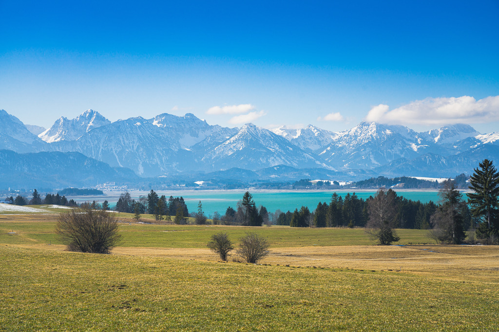 Allgäu Wandbild - Frühjahr am Forggensee | Michael Helmer - Allgäu Bilder auf Leinwand bestellen