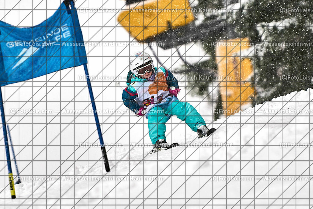 ALP0530_NeujahrsSchikurs_AbschlussRennen_Gruppe NORBERT | (C)FotoLois.com, Alois Spandl. NEUJAHRS-SCHIKURS Schischule Haginger, Gemeindealpe Mitterbach, Abschlußrennen, Sa 6. Januar 2024.