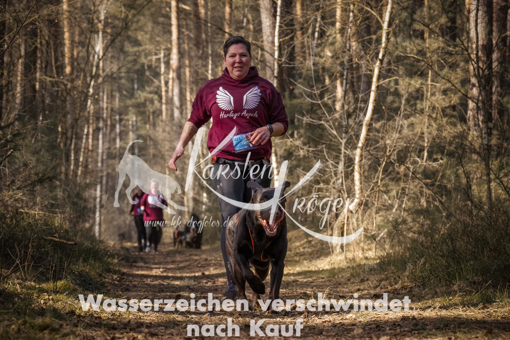 1159_ZZ92422-Bearbeitet | kk-dogfotos