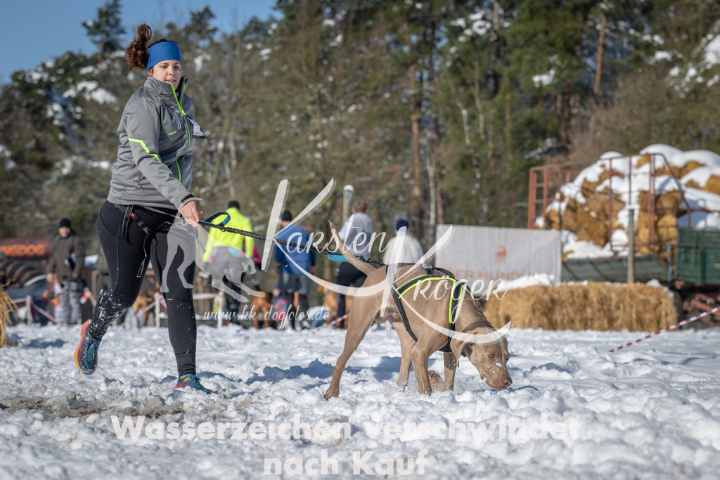 1042_ZZ92371-2 | kk-dogfotos