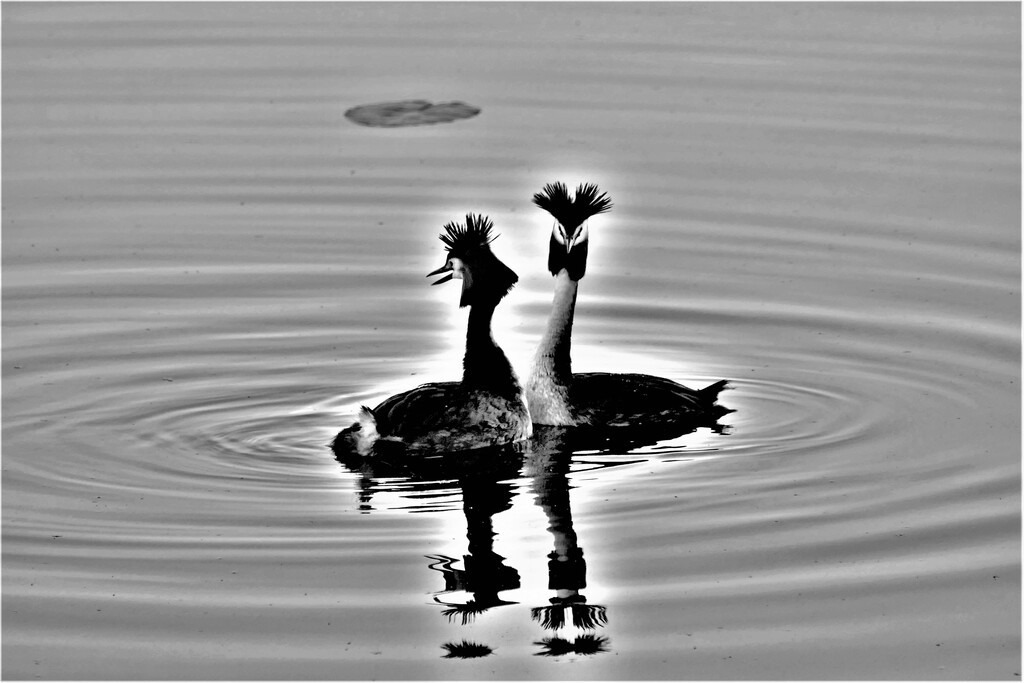 P7410371 (6) | Annaeherungen - Realisiert mit Pictrs.com