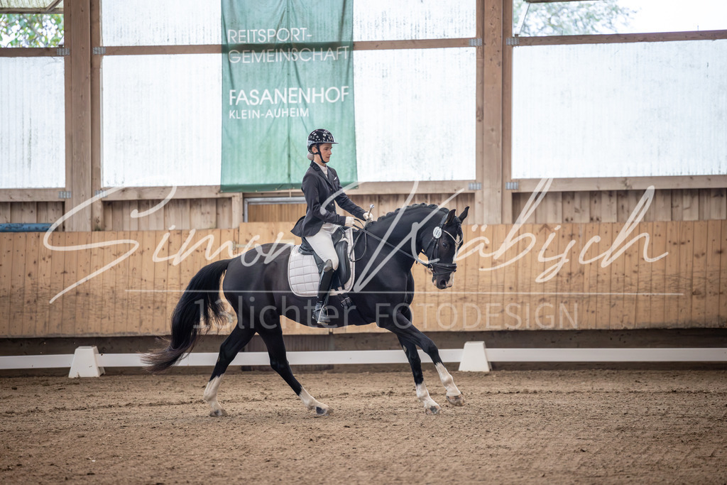 20251011-_3LI9397 | Tierfotografie Pferde, Hunde, Katzen, Haustiere.
Turnierfotografie Reitturniere, Reiten, Springreiten, Dressur in Hanau, dem Main-Kinzig-Kreis und dem Rhein-Main- Gebiet um Frankfurt