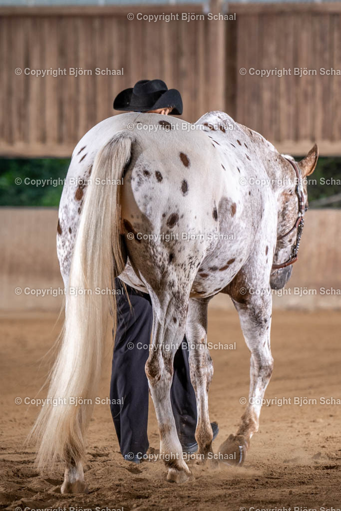 LMB07757 | BS-foto